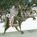 He's Puttin On The Ritz 2 Yr Old WGC He's Puttin On The Ritz 2 Yr Old WGC
